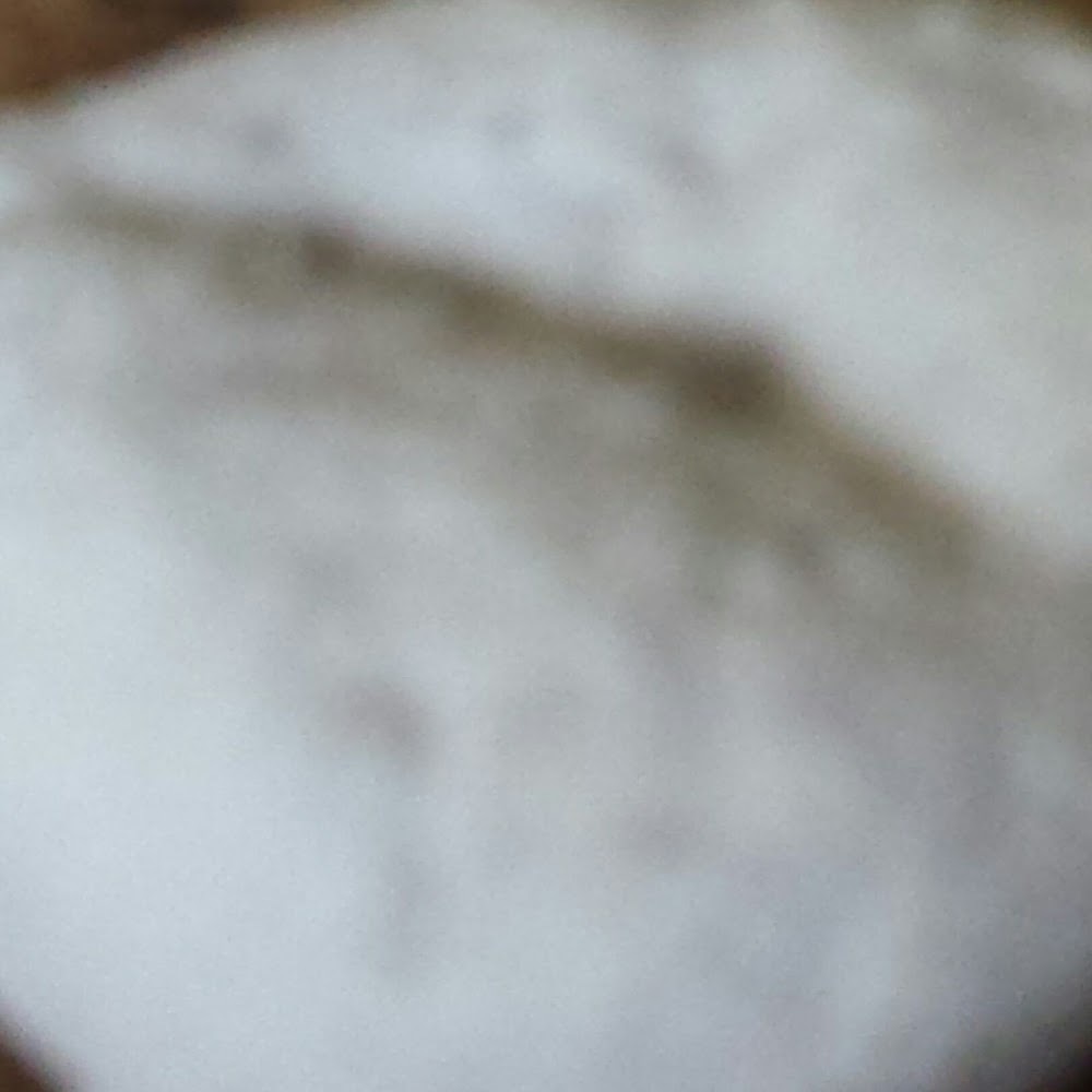 Meet your Posher, Donutx